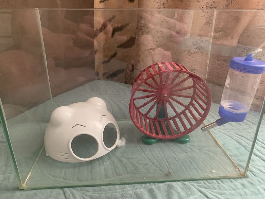 Продам аквариум для животных, рыб