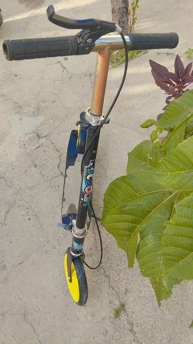 Samokat  firma scooter