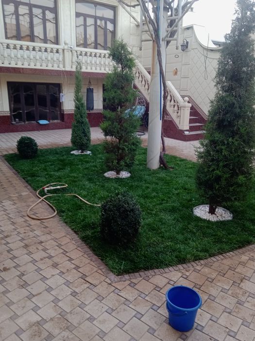 Gazon  lanshaft rulon газон tayori  urugi 15000