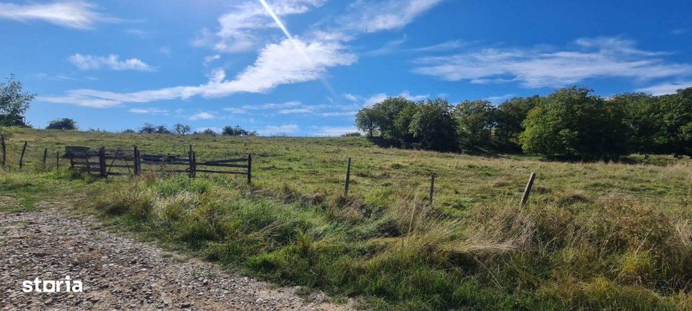 Teren extravilan de vanzare, 1.5 ha, Cisnadie!