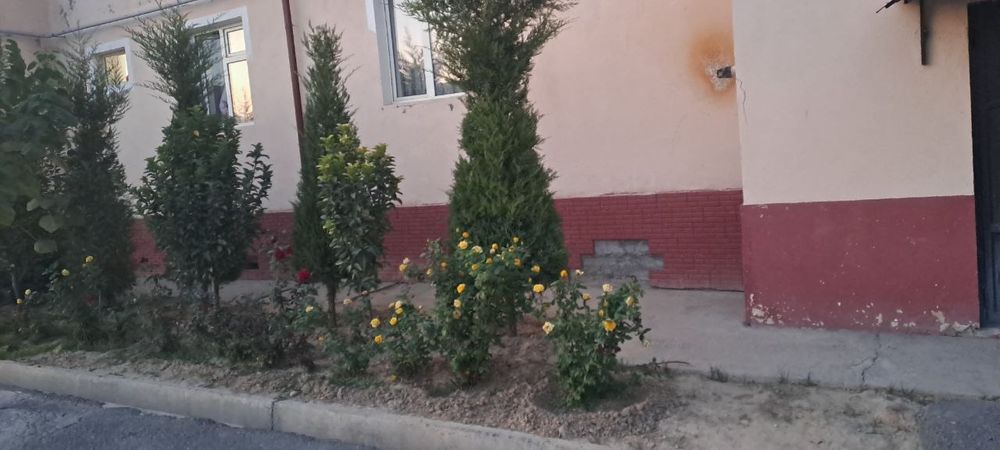 Xasanboy kensoy mahallada dom 3xona sotiladi