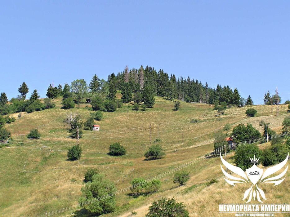 Продавам парцел УПИ 3000кв.м. в село Проглед, общ.Чепеларе