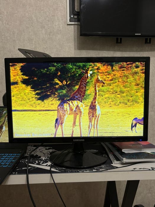 Монитор Samsung S22D300