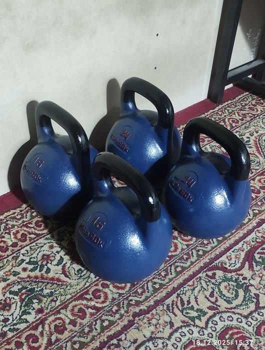 ГИРЯ 16-24 кг СССР Полвонтош