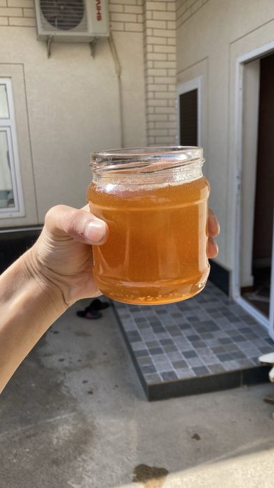 Тоза қозоғистон ва тоғ асаллари