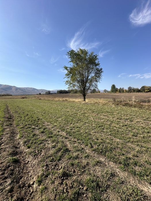 Продам участок 7.4 сотки в СНТ