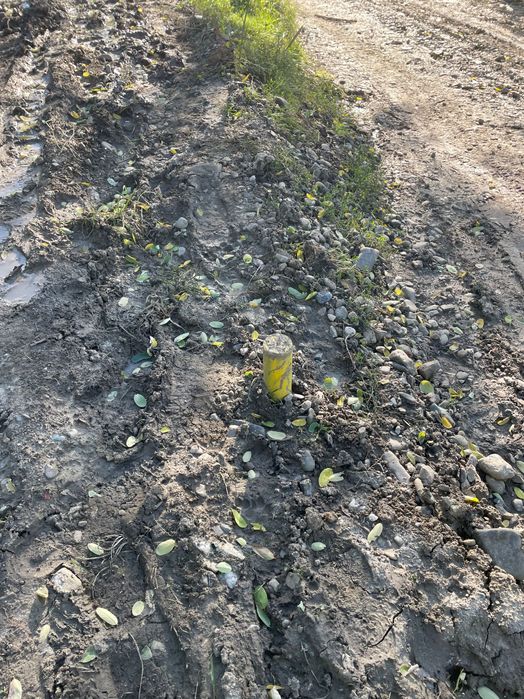 Teren de vânzare în com. Ion Neculce  sat Prigoreni