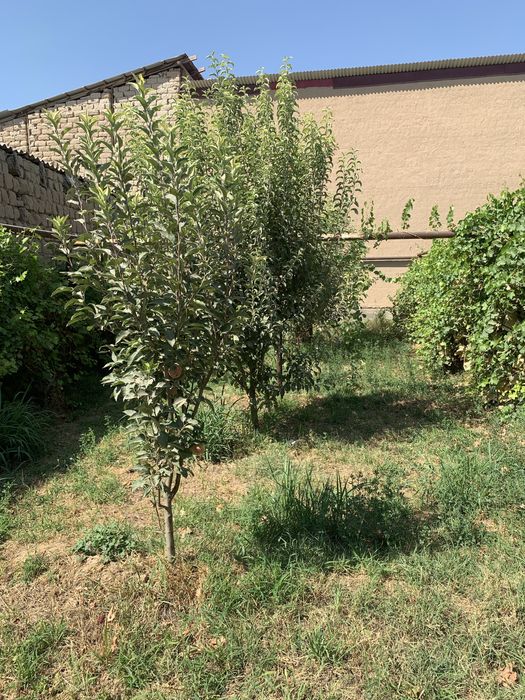 Земельный участок на локаторе