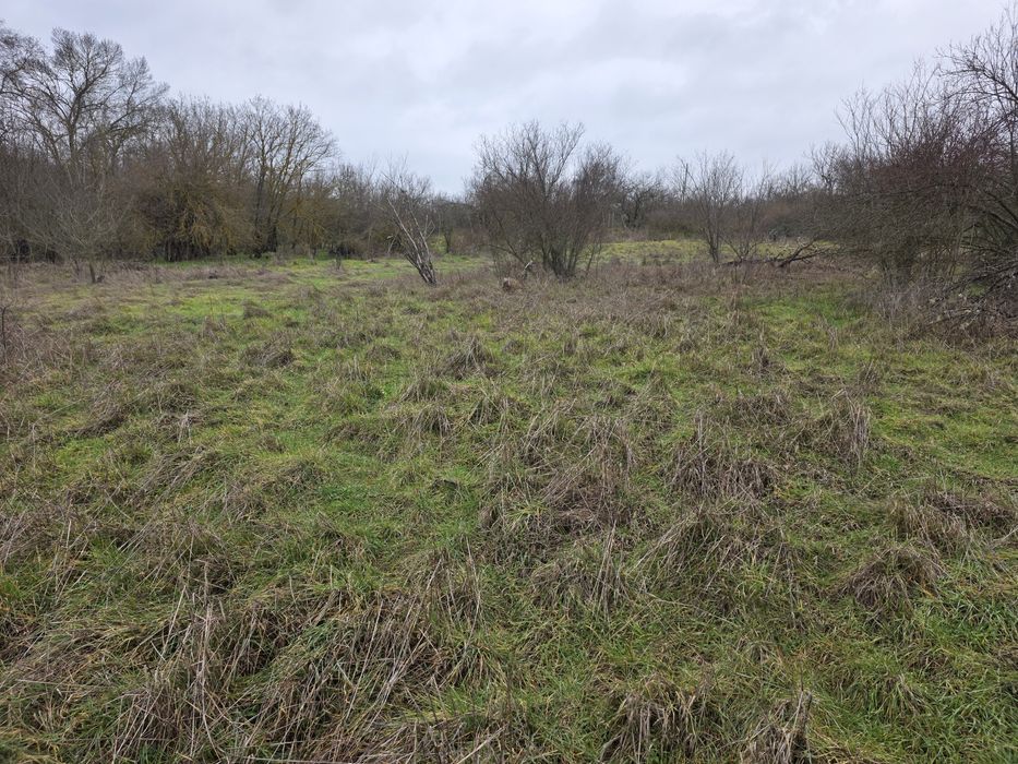 Продава се Парцел в Бургас, Братя Миладинови - 900 кв.м за 3 €/кв.м - Снимка #6