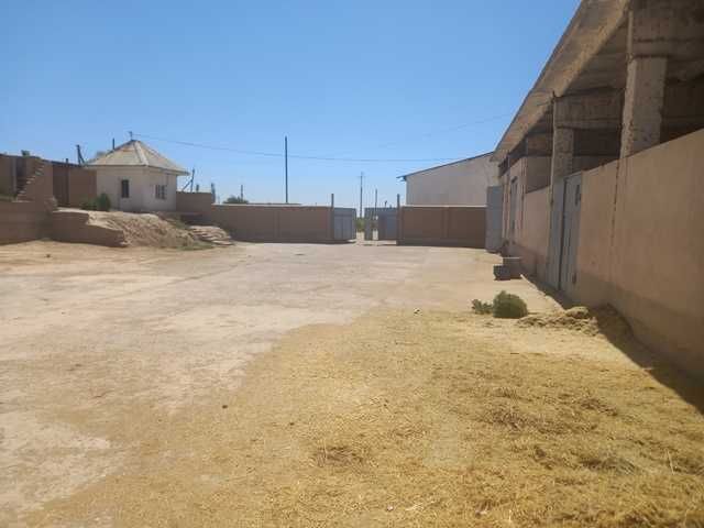 Noturar joy (binosi)