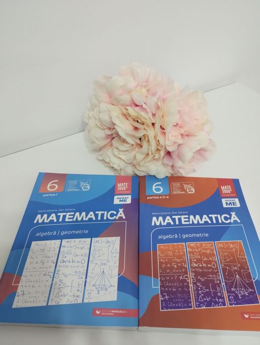 Culegeri mate,paralela 45,cls6