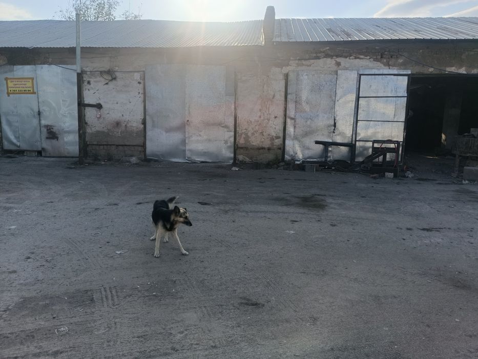 Аренда помещения(Пром база)