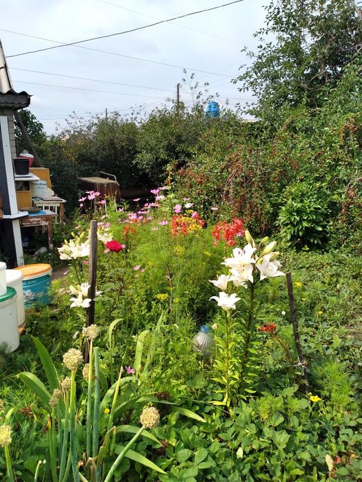 Продам дачу содовое общество строителей