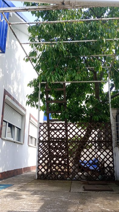 Vila moderna la mare