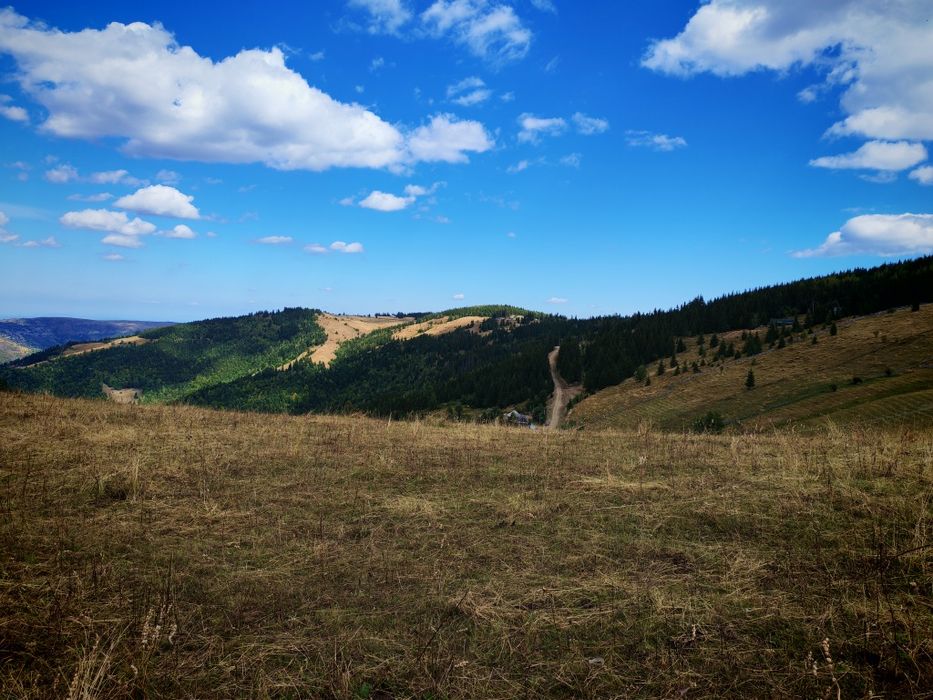 Teren intravilan