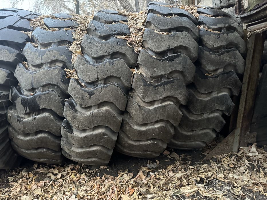 Продам шины 14.00.24