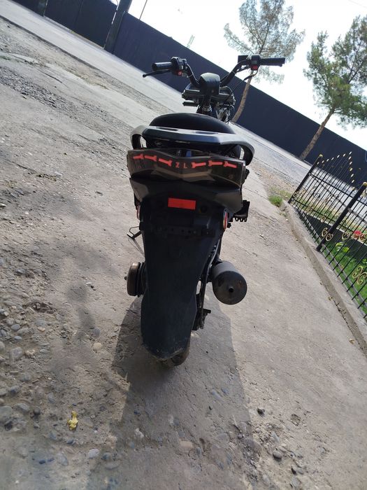 Tiger sukuter yuradi