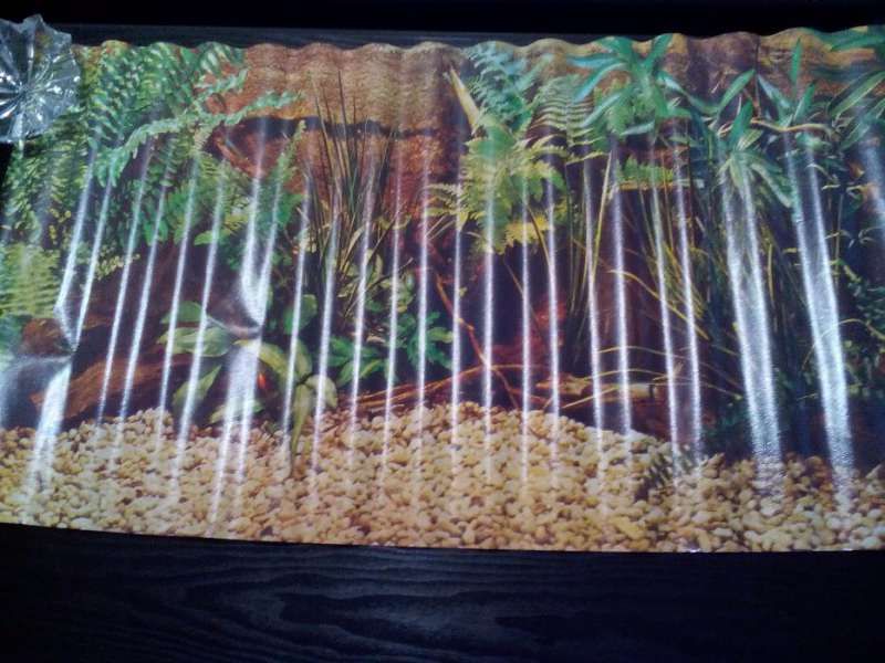 Плакати за аквариум и аксесоари за пренасяне на живи рибки