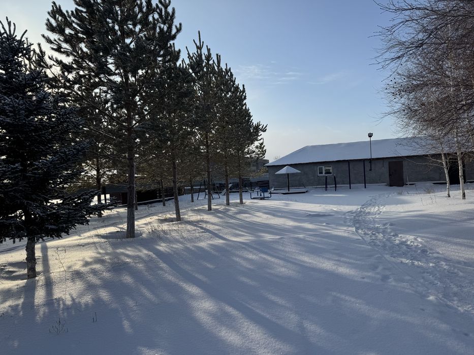 Действующий бизнес