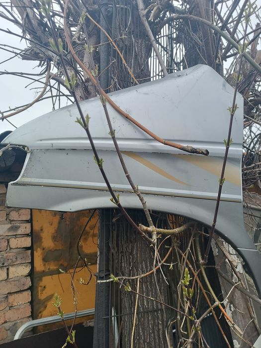 Левое Крыло на Бонго френди