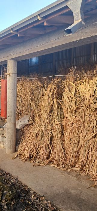 ,йемиш макайи сотилади