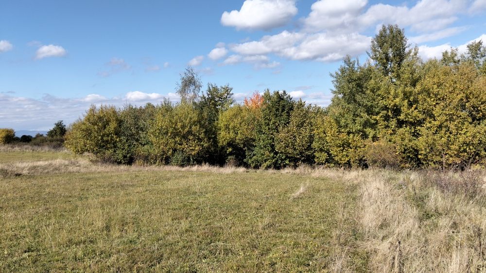 Teren agricol extravilan