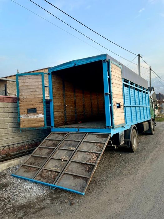 Скотовоз, мал тасымалы