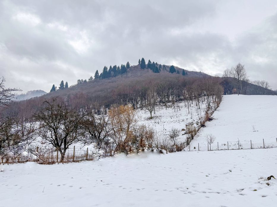 Teren intravilan 2300 mp Paltinis-Valea Stezii Sibiu