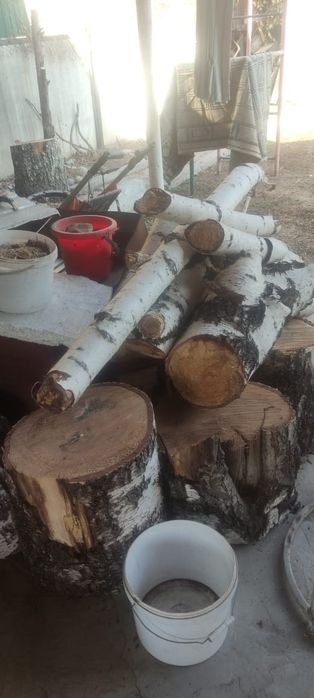 Дрова березы пеньки