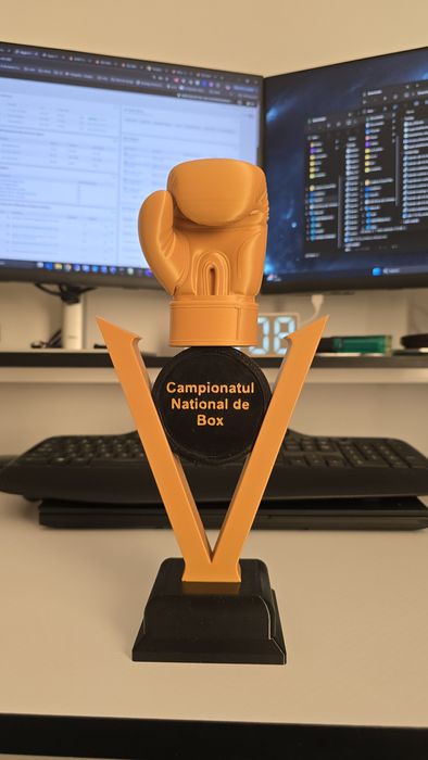 Trofeu personalizat BOX 3D