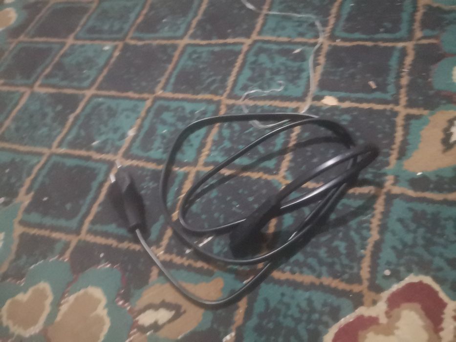 Састаиянасы кушты