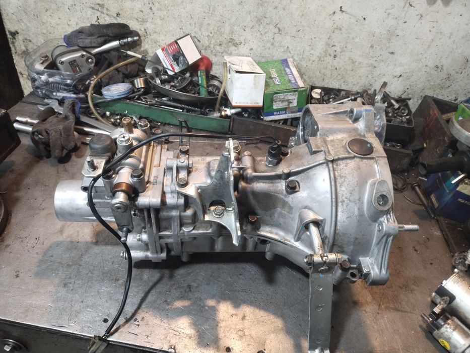 Дамас каропка заднимост бор