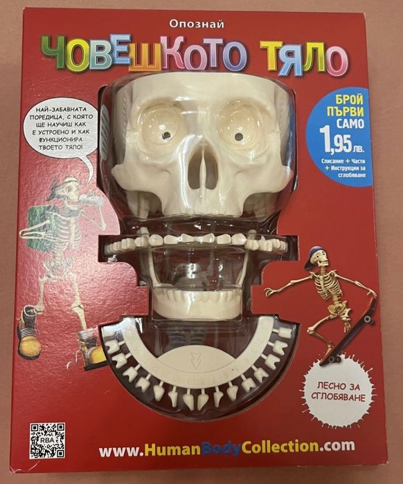 Човешкото тяло 1-ви брой - череп