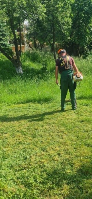 tund iarba/gazon tund gard viu/taiere copaci curatenie outdoor