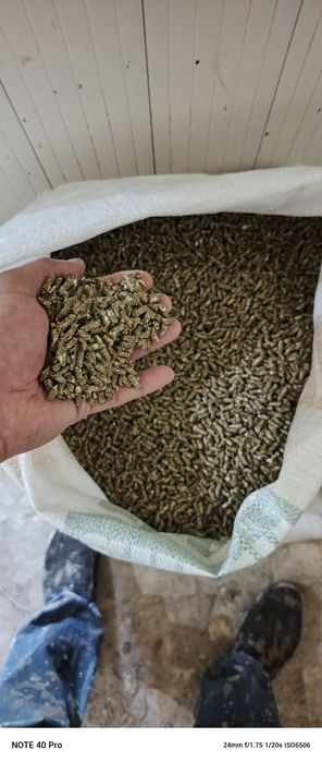 куёнлар учун корм