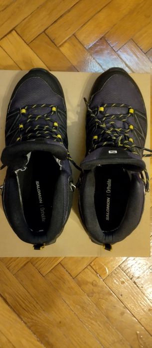 Туристически обувки Salomon DAINTREE MID GTX