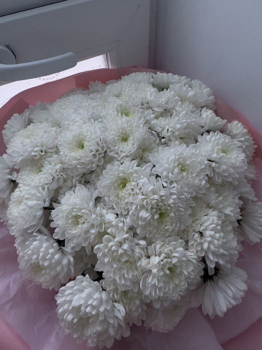 Бүгін келген гүл свежий