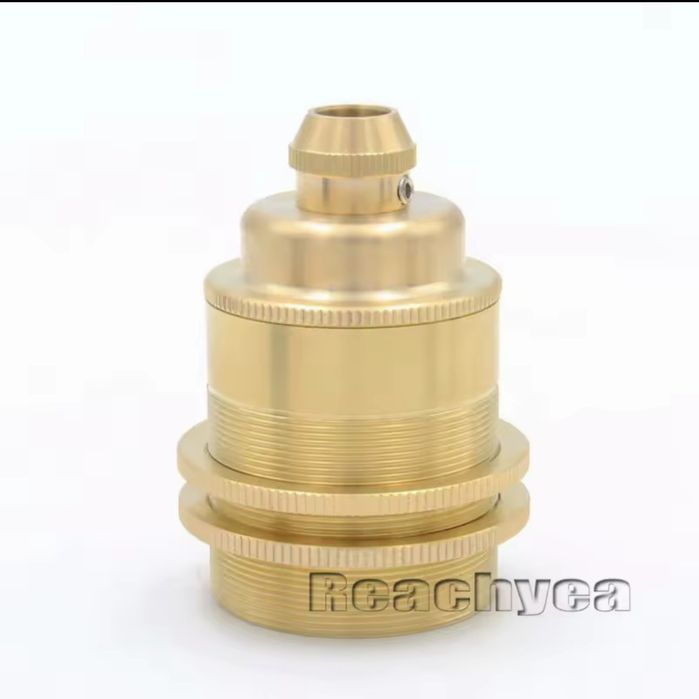 Фансунга декоративна