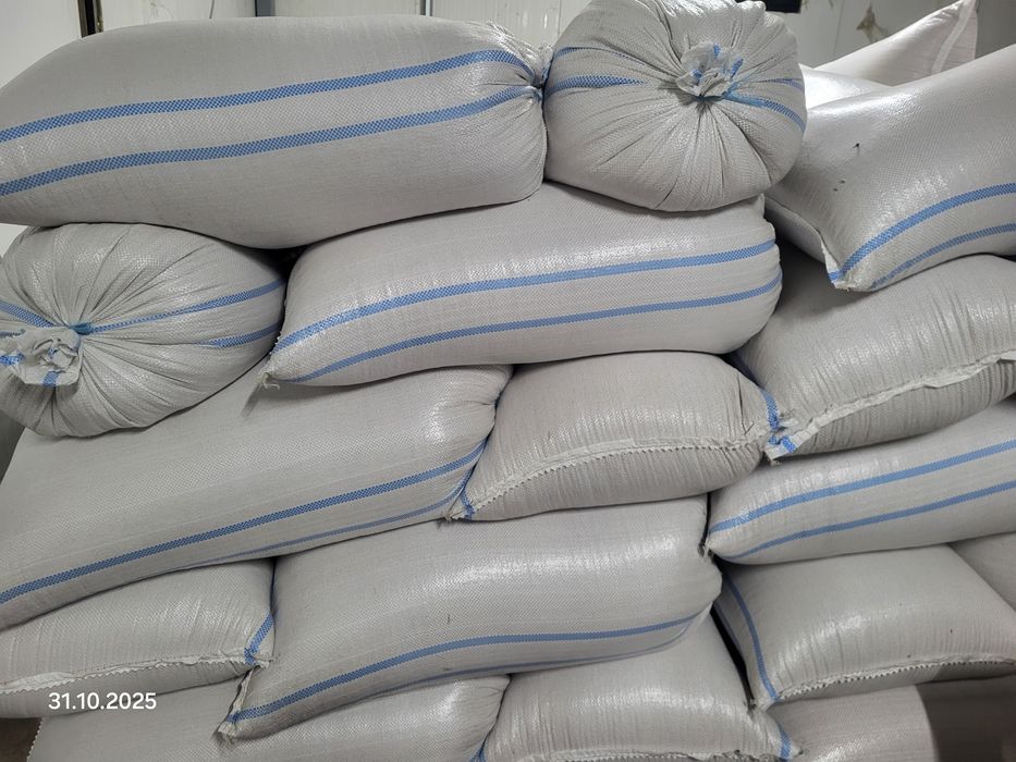 Grau de toamna Glosa, și Floarea-soarelui 2025, anul 1 de conversie  i