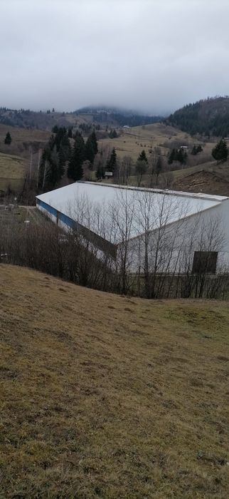 Inchiriez sau vand hala metalica