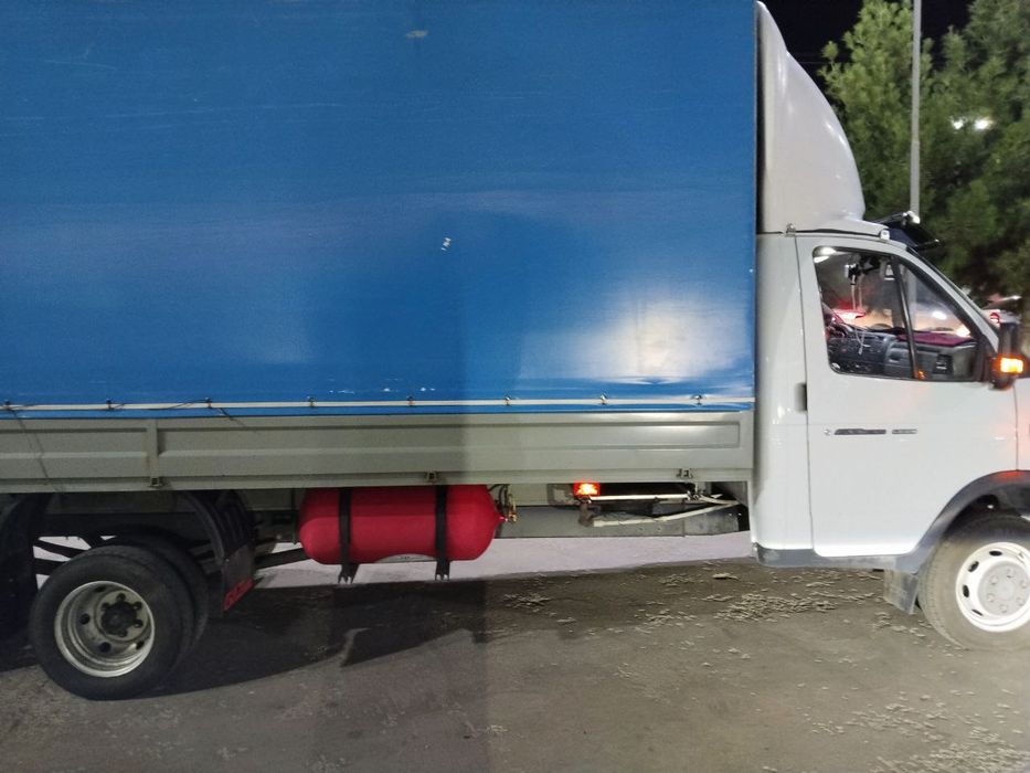 Gazel, газел  5.20