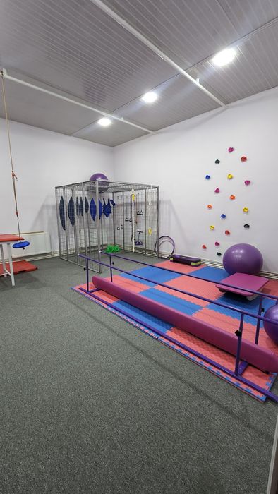 Pauk trinajori sotiladi