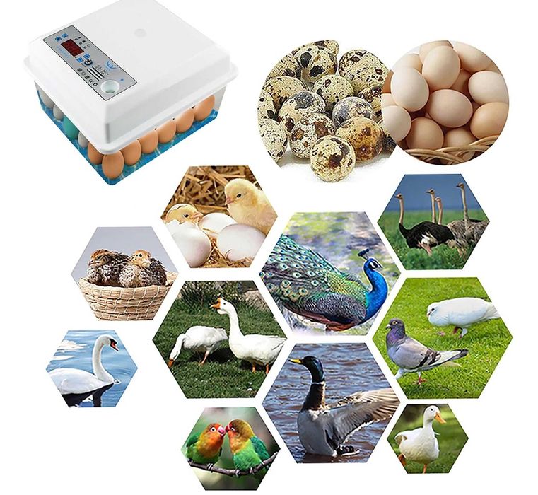 Ремонт на Инкубатори