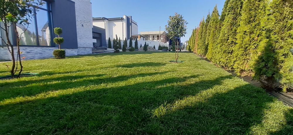 Toaletare,amenajare și întreținere spatii verzi