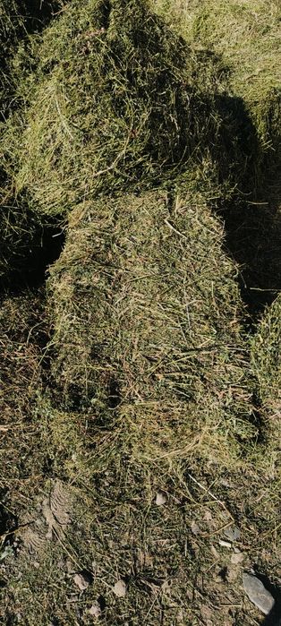 Жоңышқа сатамыз.Ауыр