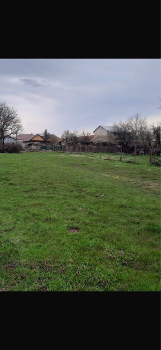 Teren stradal de inchiriat Calea Severinului langa Penny