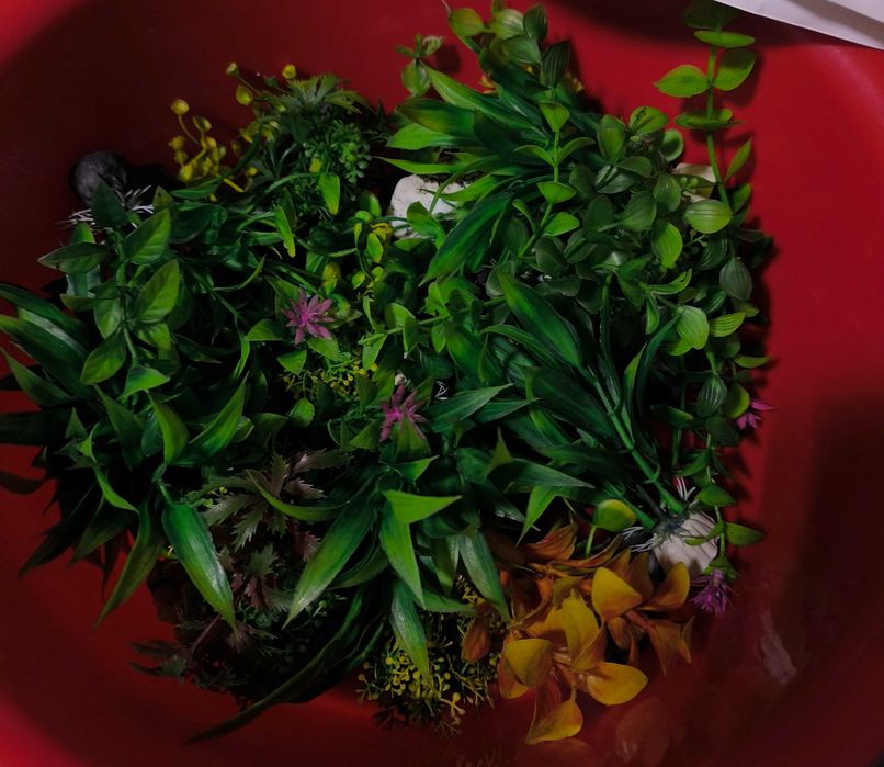 Аквариум с рыбами