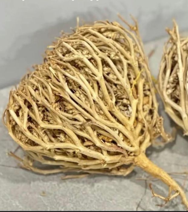 Каф марьям для родов