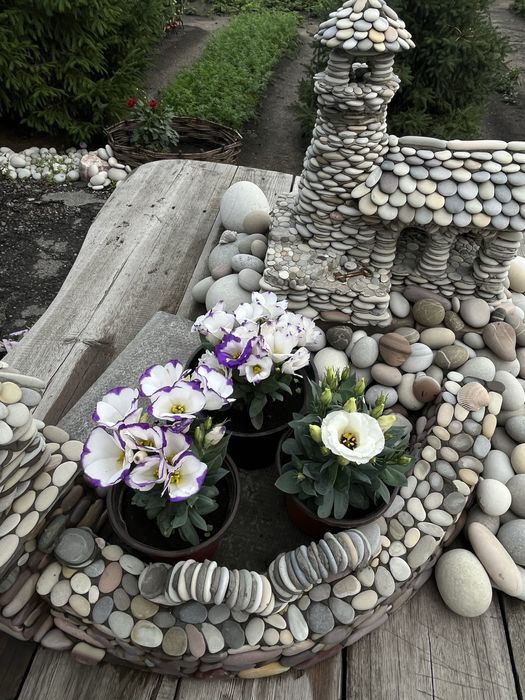 Саженцы эустомы , ирланская роза