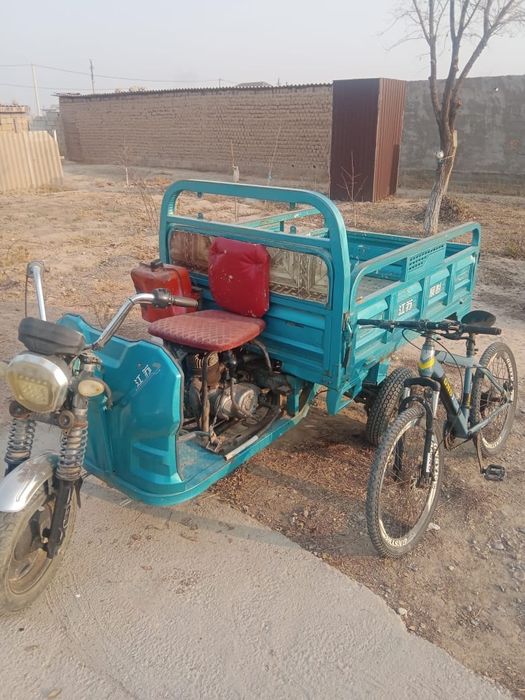 Муравей,велосипед